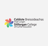 Partners-Logo-Colaiste-Breisoideachas-Stillorgan-CoFE